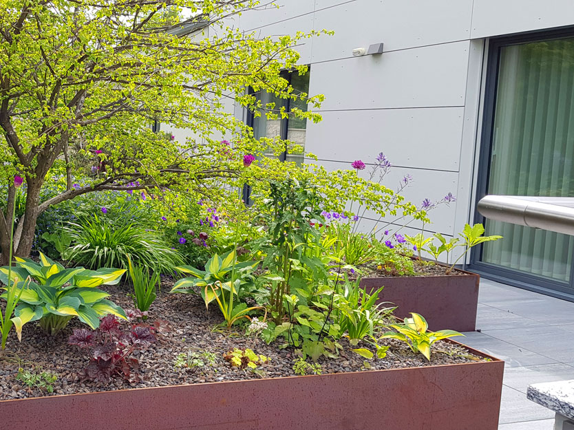 Gartengestaltung-Besl-Bischoff-zuerich-Dachgarten-Terrassengarten