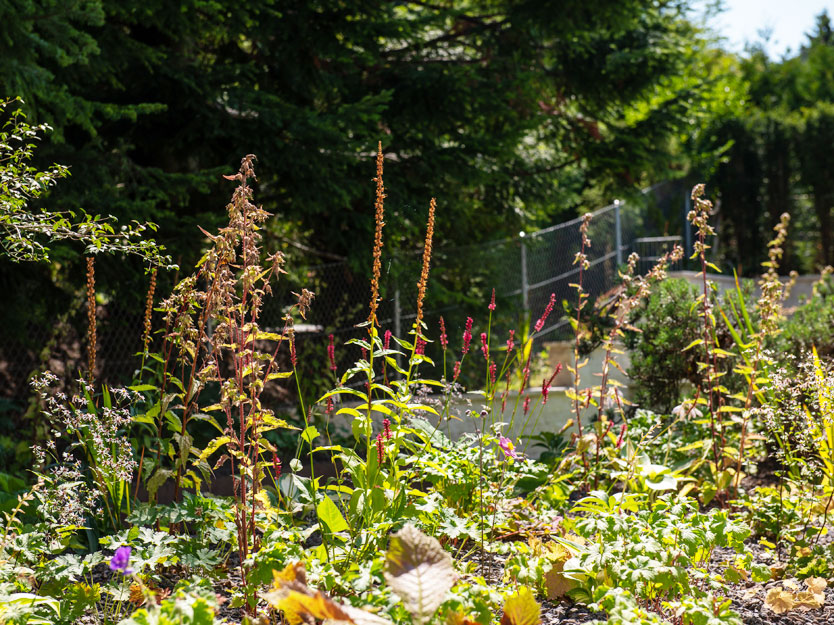 Gartenbau-Besl-Bischoff-zuerich-gartenpflege