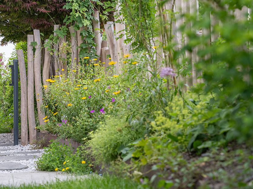 Gartengestaltung-Besl-Bischoff-zuerich-Naturgarten