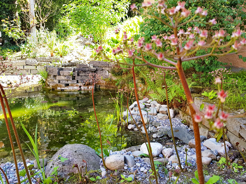 Gartenpflege-Besl-Bischoff-zuerich-Schwimmteiche