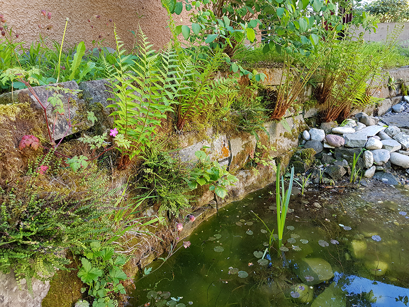 gartenbau-besl-bischoff-gartenpflege-zuerich gartenbau-besl-bischoff-gartenpflege-zuerich